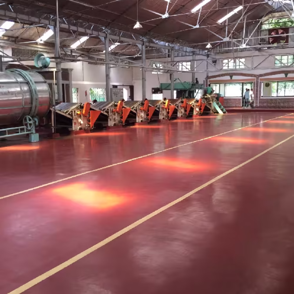 industrial PU flooring in Bangladesh